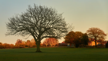 Rowthorne winter fields Jamie Weinbren
Michael Weinbren Image from website: https://www.mw-gallery.photos/